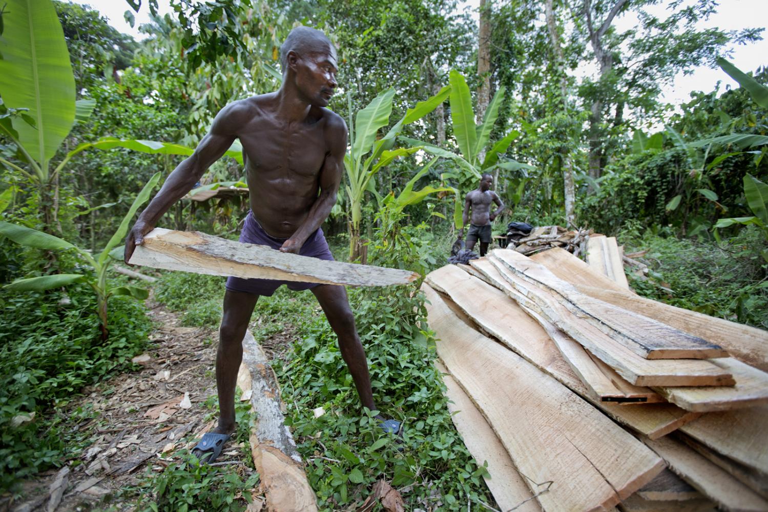 Men work hand sawing lumber in Milot, Haiti.